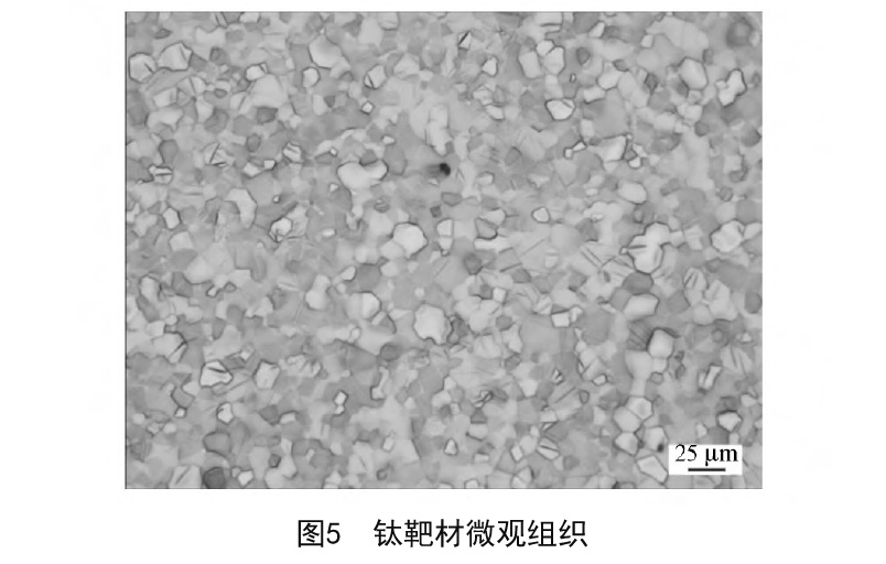 1614501765345702.jpg a6.jpg