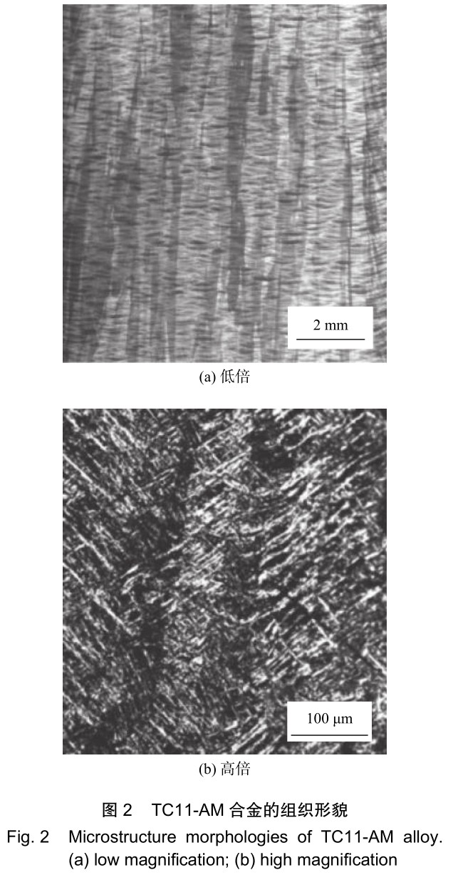 1701651360115811.jpg t2.jpg