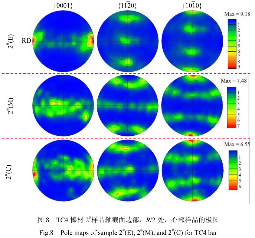 1705846645683412.jpg t8.jpg