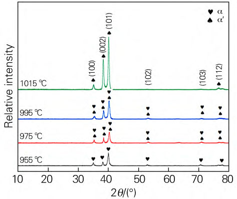 1710926497558211.jpg t3.jpg