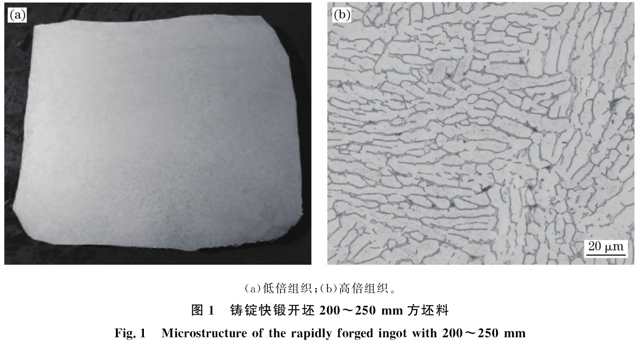 1719566189820029.jpg t1.jpg