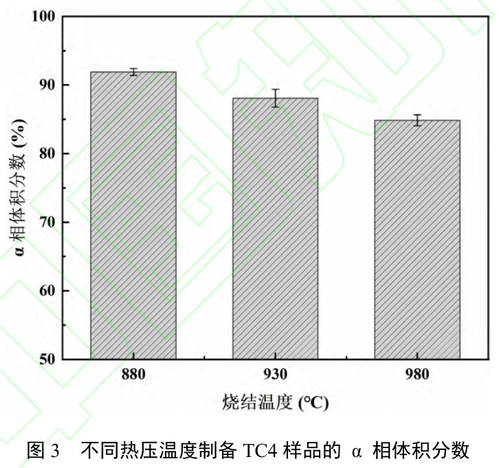 1723708374850307.jpg t3.jpg