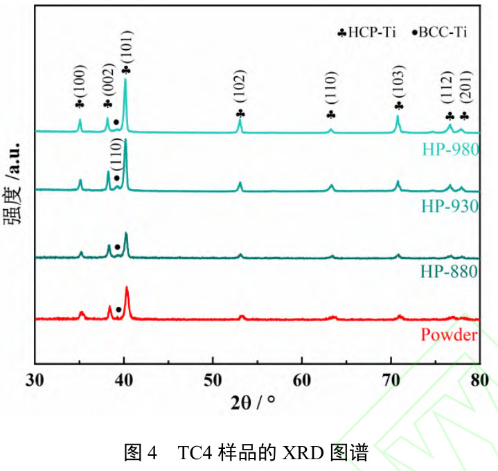 1723708382426789.jpg t4.jpg