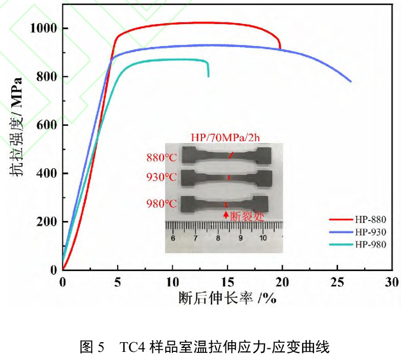 1723708391356389.jpg t5.jpg