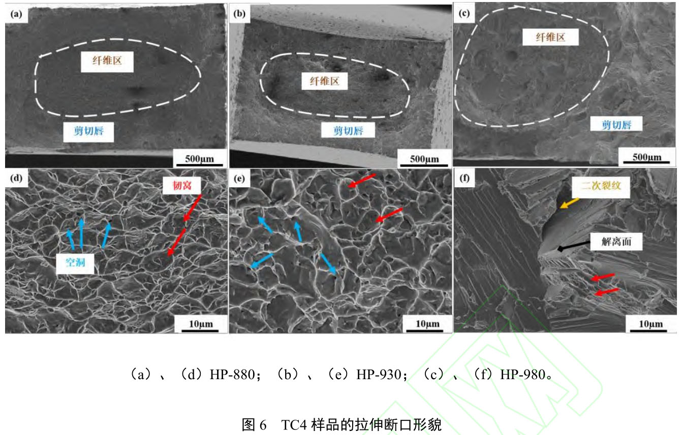 1723708406539532.jpg t6.jpg