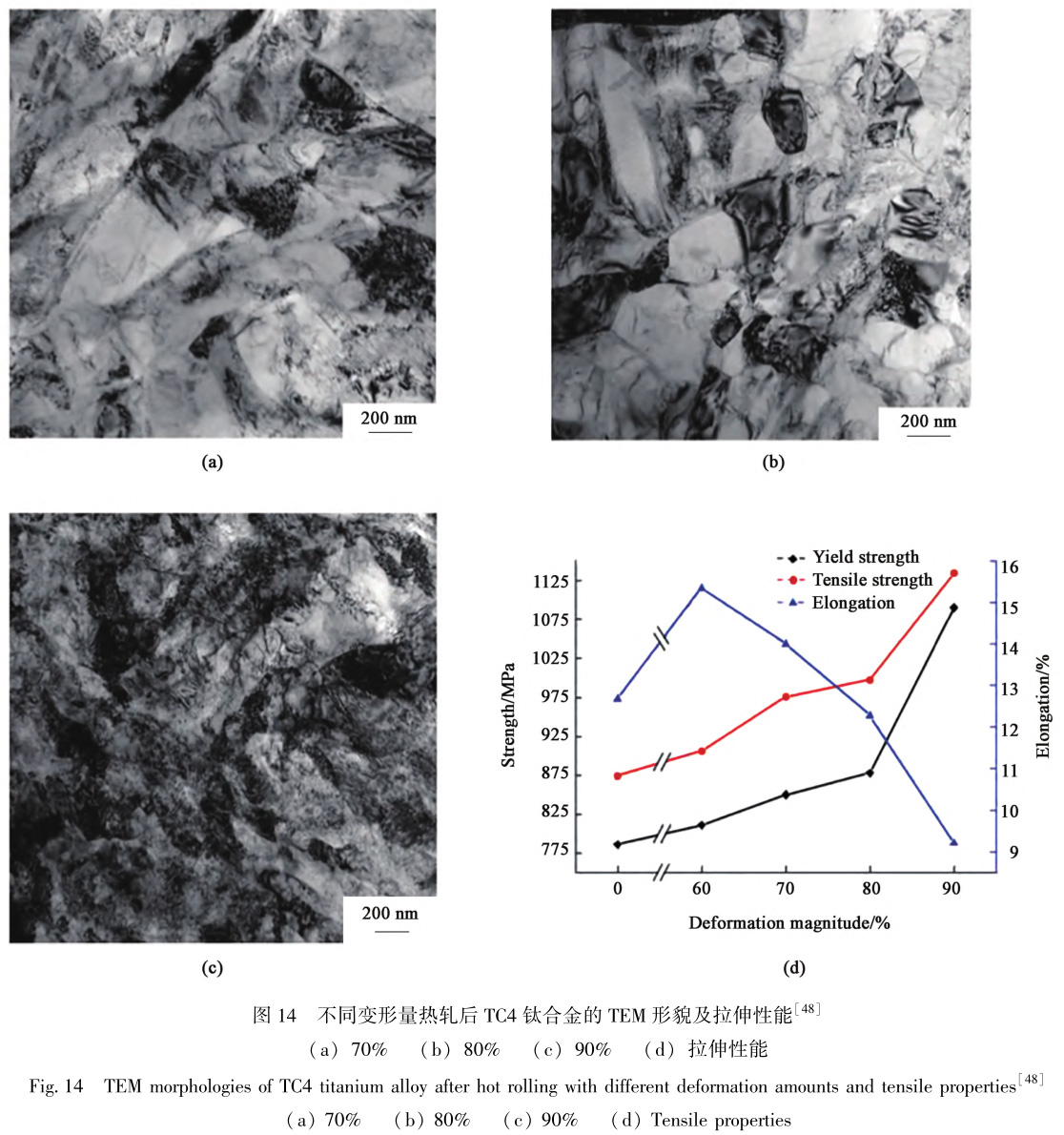 1729324430972262.jpg t14.jpg