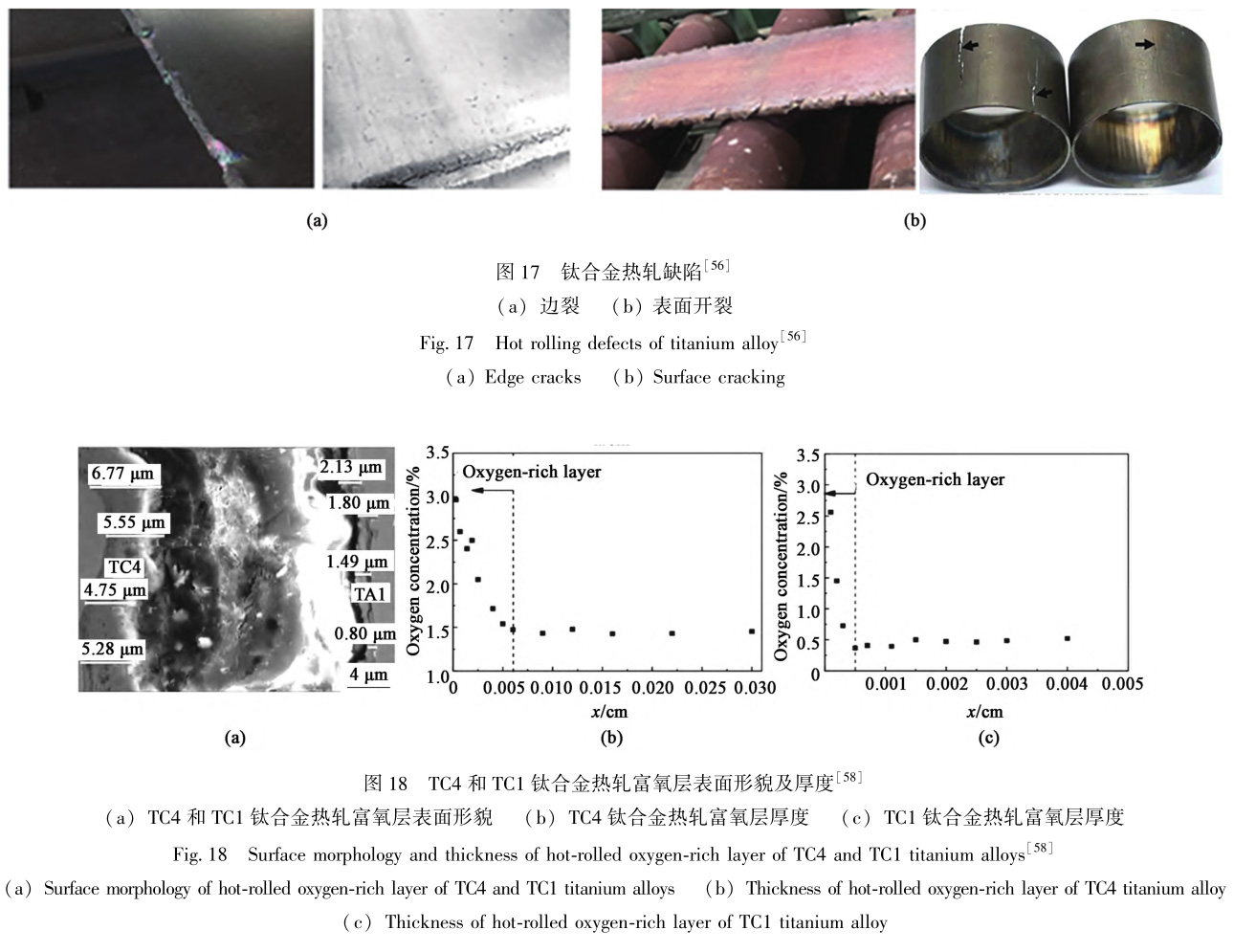 1729324475720814.jpg t17-18.jpg