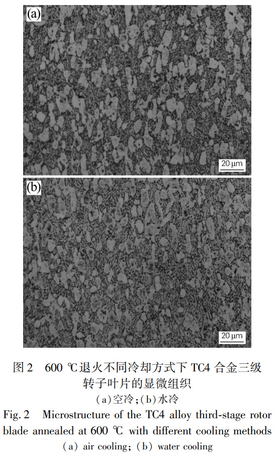 1731314954688016.jpg 2.jpg