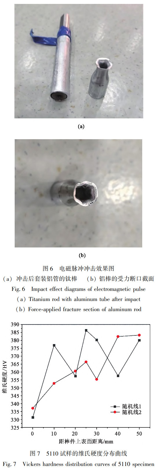 1734232971392532.jpg 7.jpg