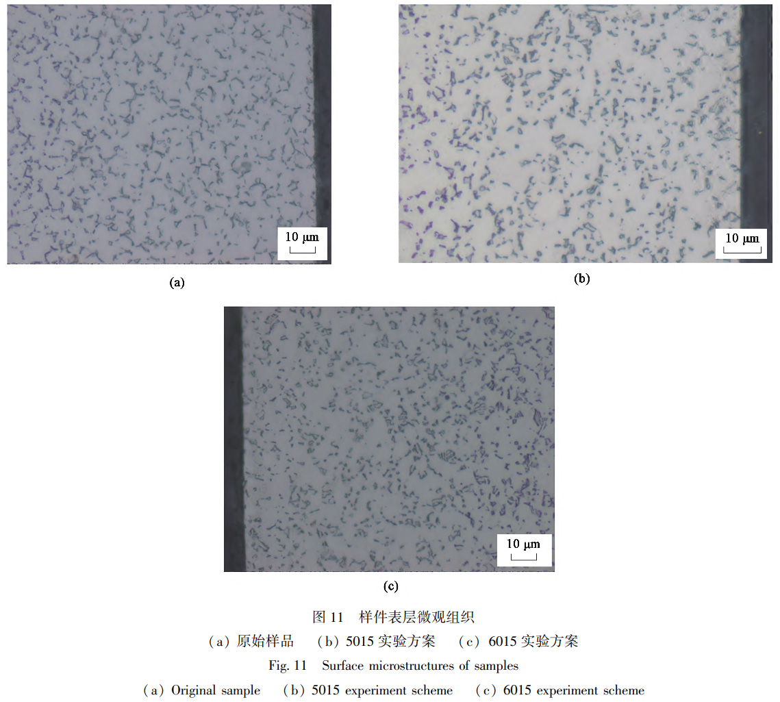 1734233023203013.jpg 11.jpg