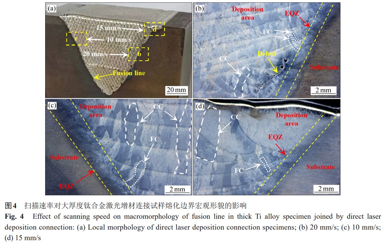 1735822330114296.jpg 4.jpg