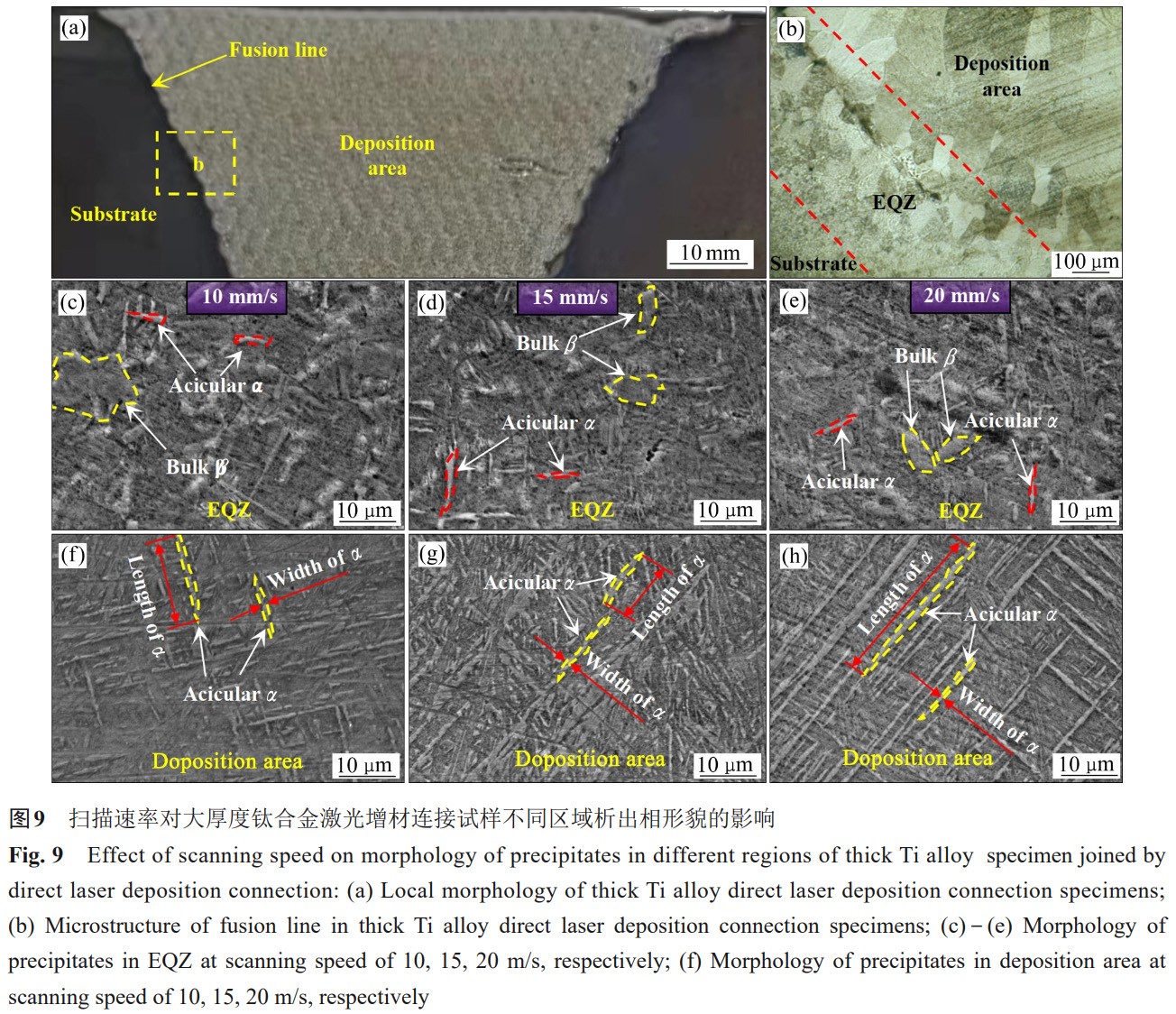 1735822398719045.jpg 9.jpg