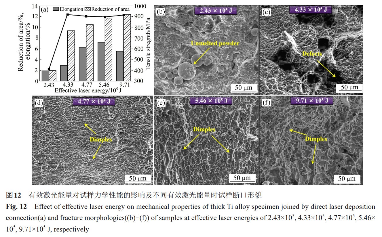 1735822474698248.jpg 12.jpg