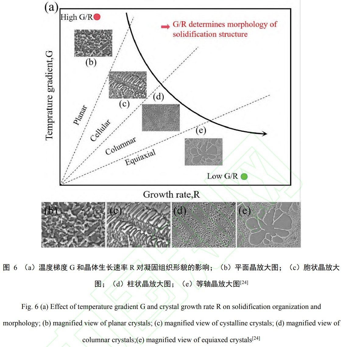 1739076814313558.jpg t6.jpg