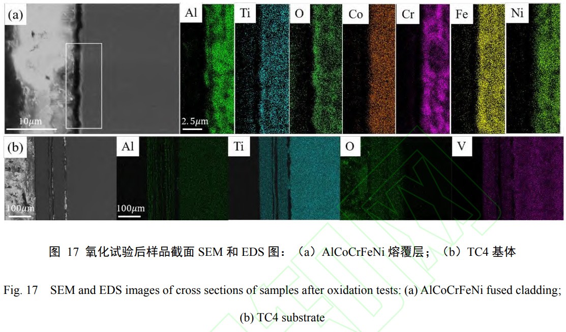 1739077037453650.jpg t17.jpg