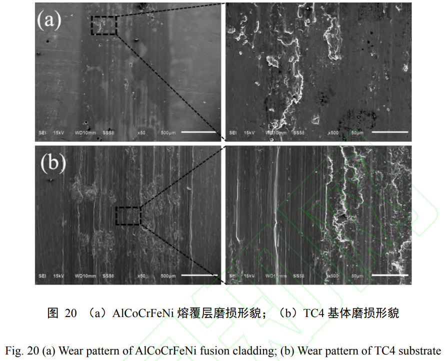 1739077076203944.png t20.png