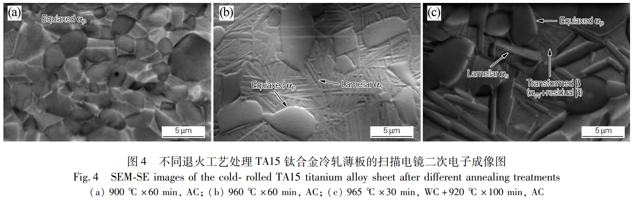 1746670584135821.png 4.png