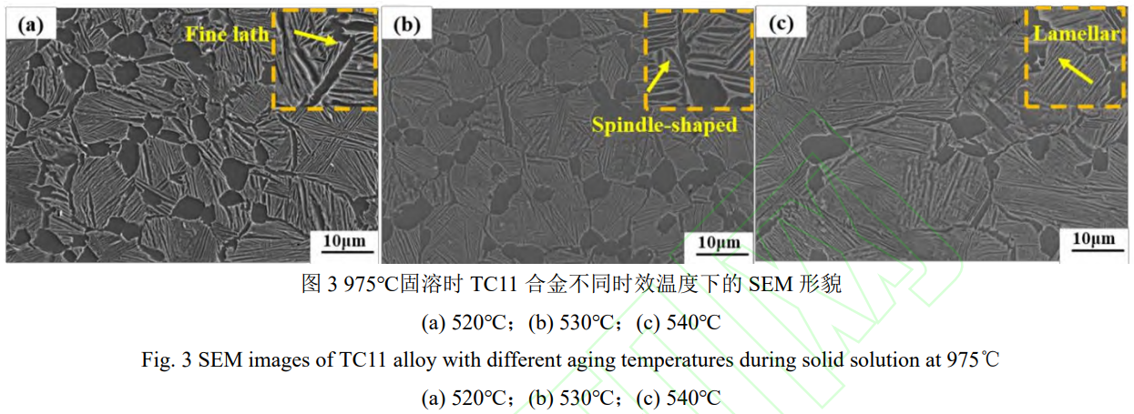 1746869034987880.png 3.png