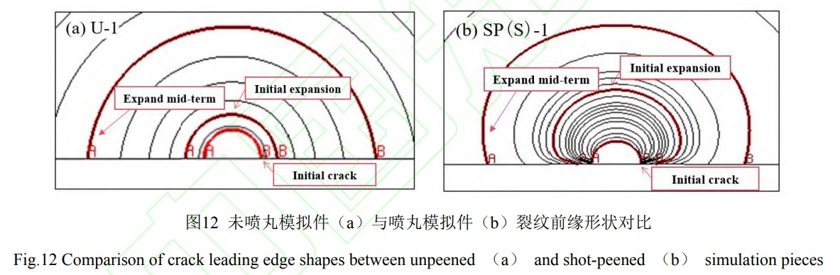 1747020435116590.jpg 12.jpg