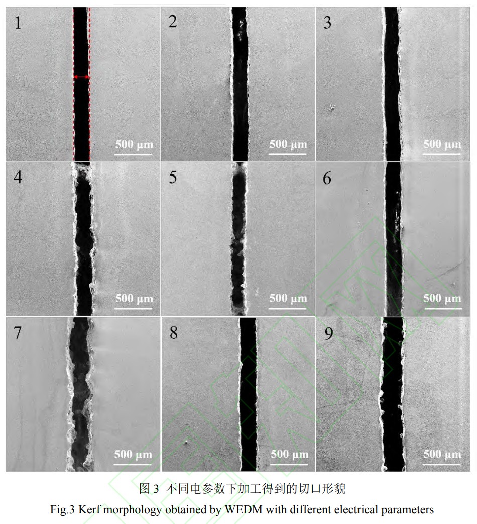 1747038975738812.jpg 3.jpg