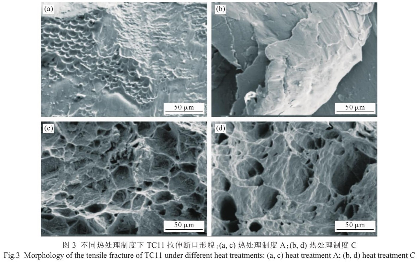 1747273754163821.jpg 3.jpg