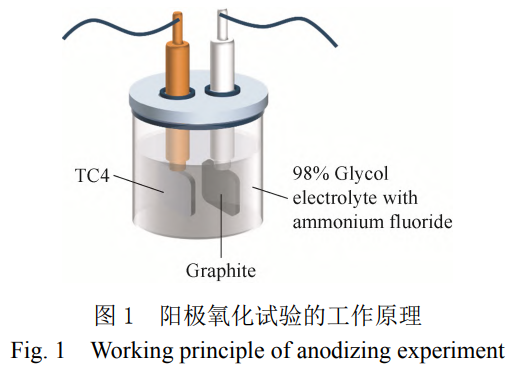 1754726287146178.png 截圖20250809155403.png