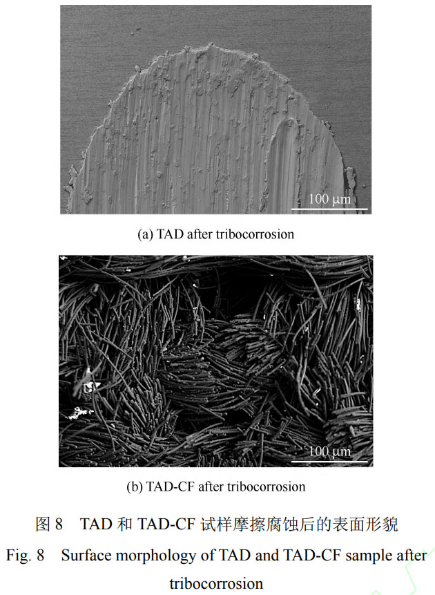 1754726398253242.jpg 未標題-2.jpg