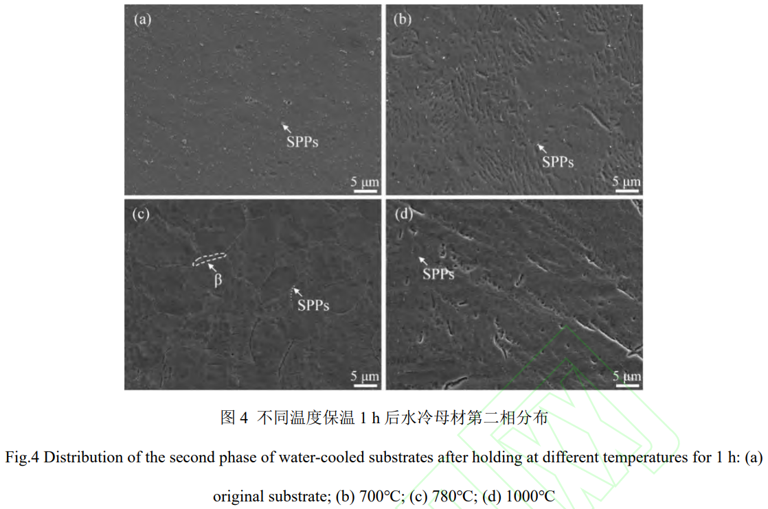 1759397686134112.png 截圖20251002172252.png