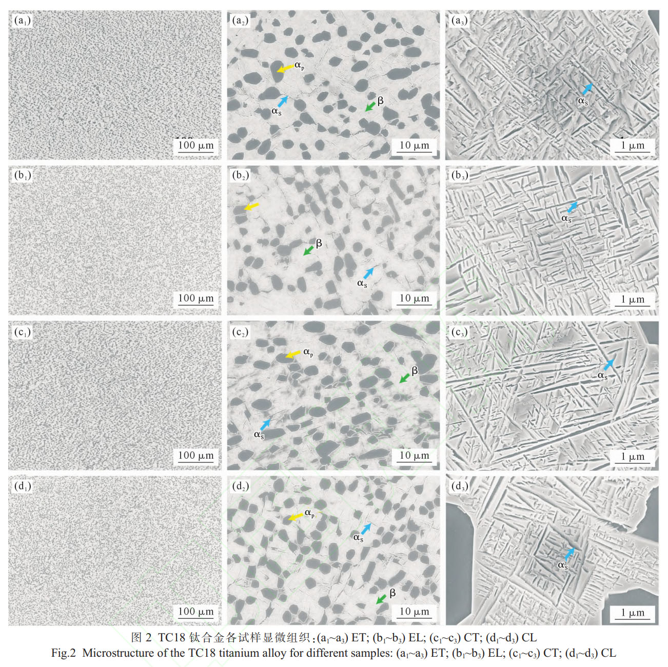 1759415723124723.jpg 未標題-1.jpg