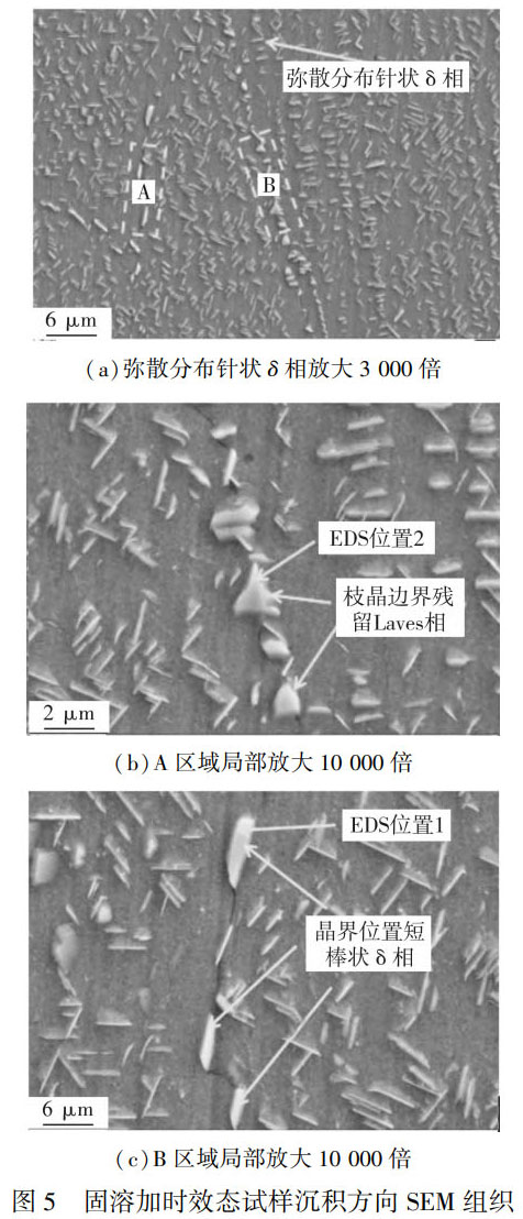 1759975186129486.jpg 未標題-5.jpg