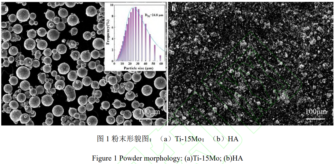 1764664331201388.png 1.png