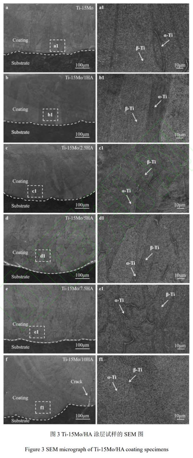 1764664405125024.jpg 3.jpg