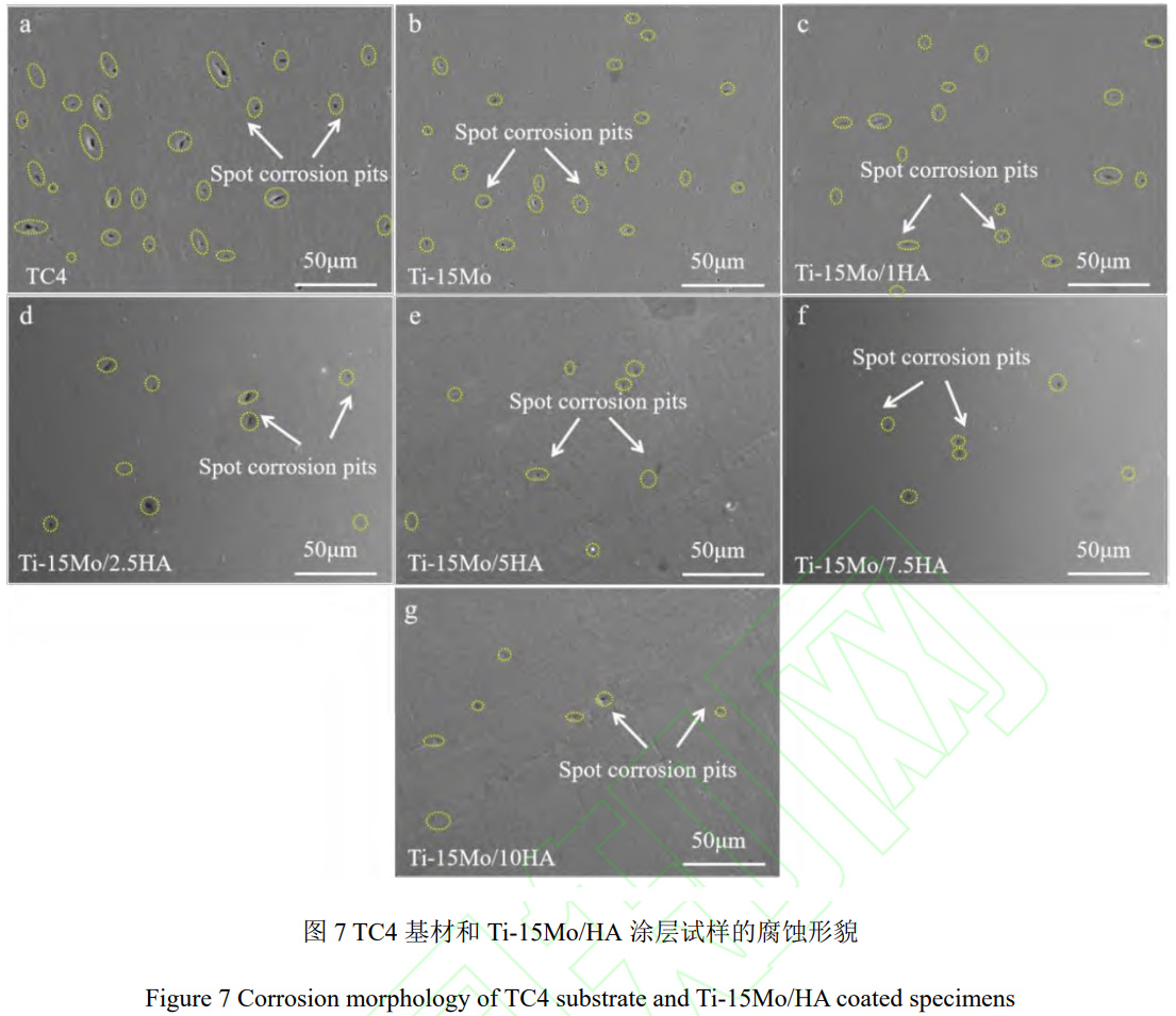 1764664447125657.jpg 7.jpg