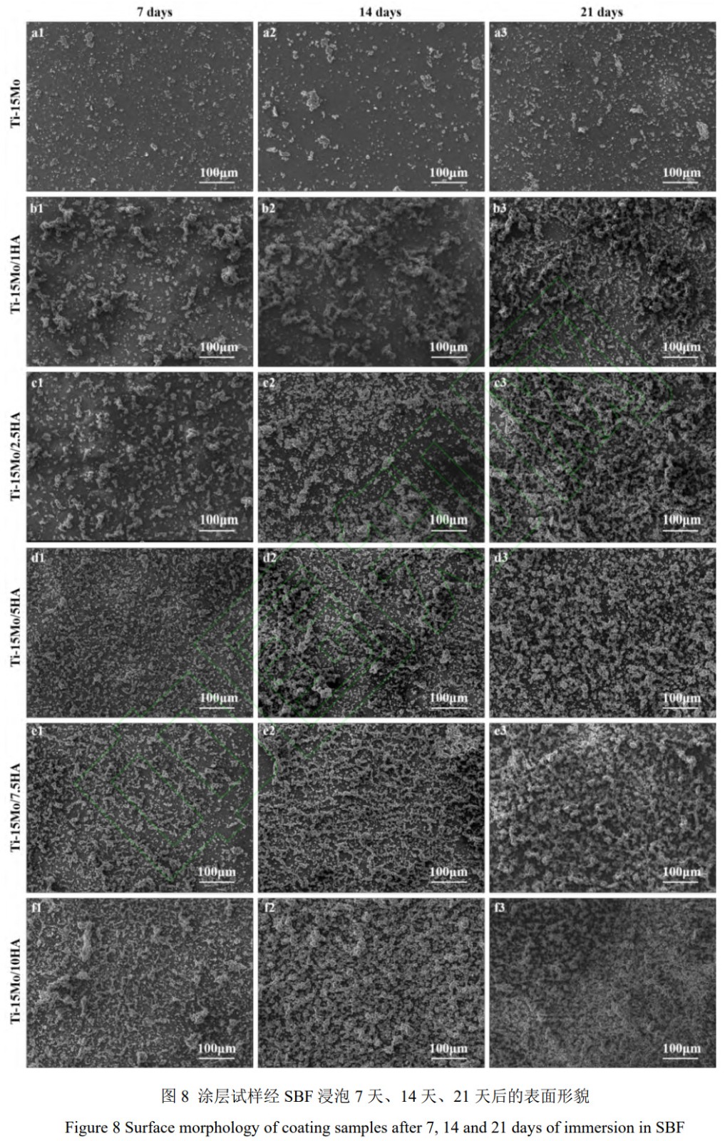 1764664459852803.jpg 8.jpg