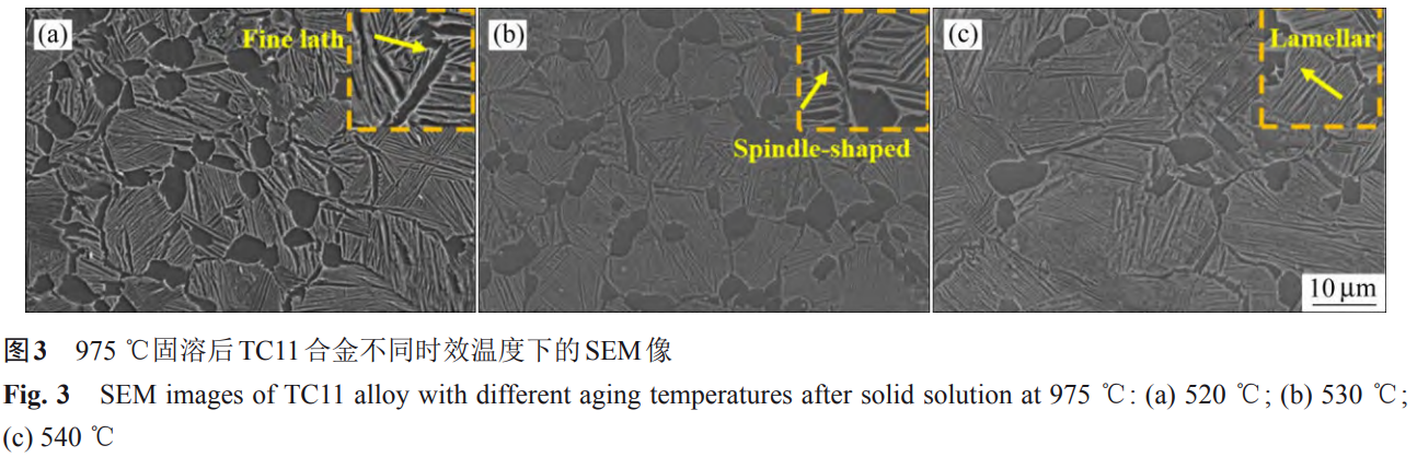 1765005037102497.png 截圖20251203113052.png