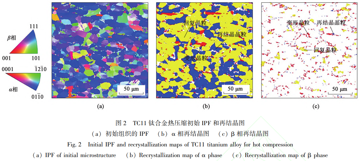 1765012027633642.png 截圖20251206164312.png