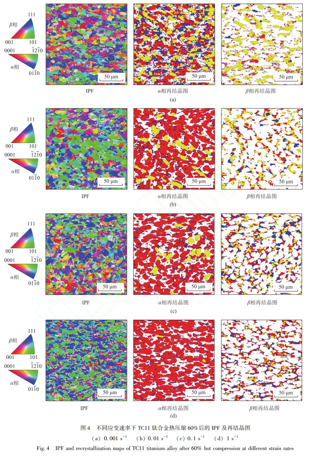 1765012090130575.jpg 5.jpg