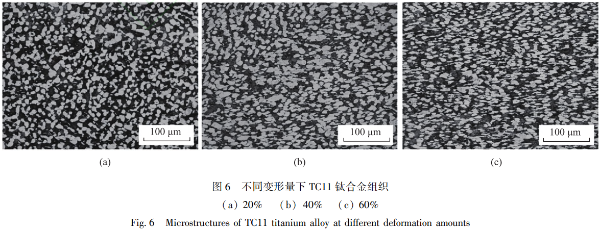 1765012112207843.png 截圖20251206164531.png