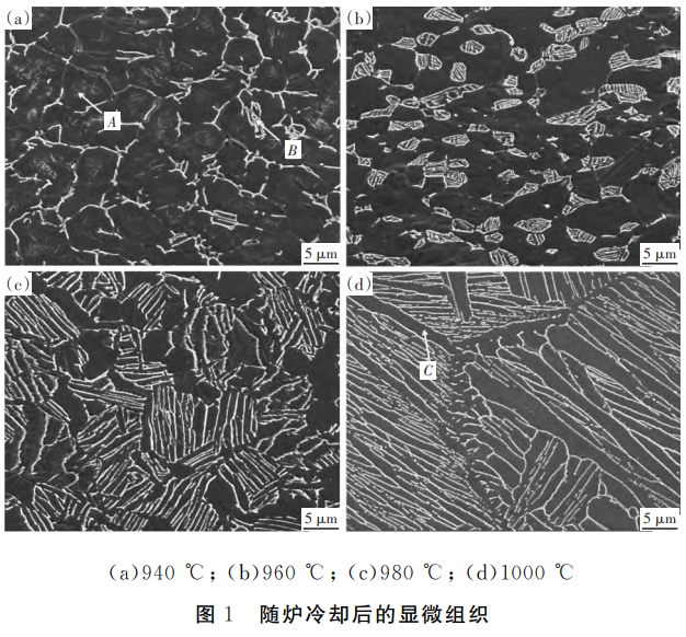 1765332926308064.png 截圖20251210101428.png