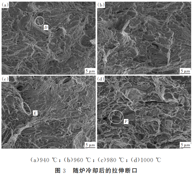 1765332951657783.png 截圖20251210101459.png