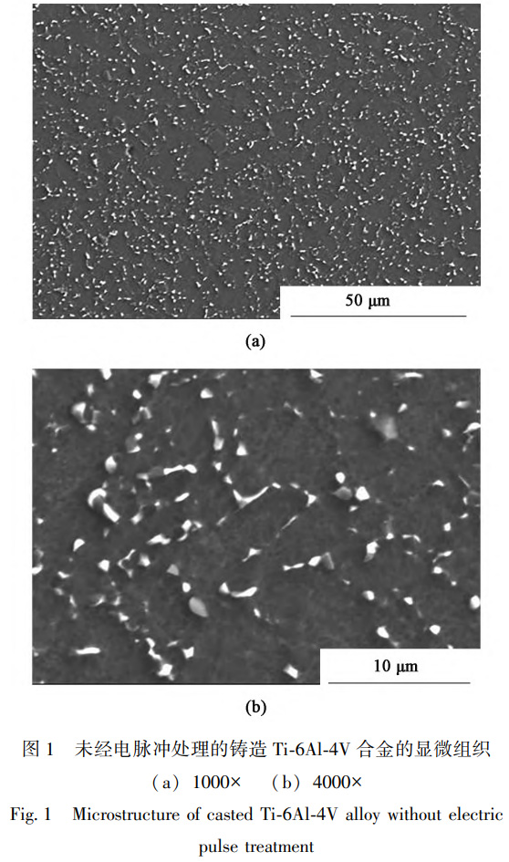 1765360537104877.jpg 1.jpg