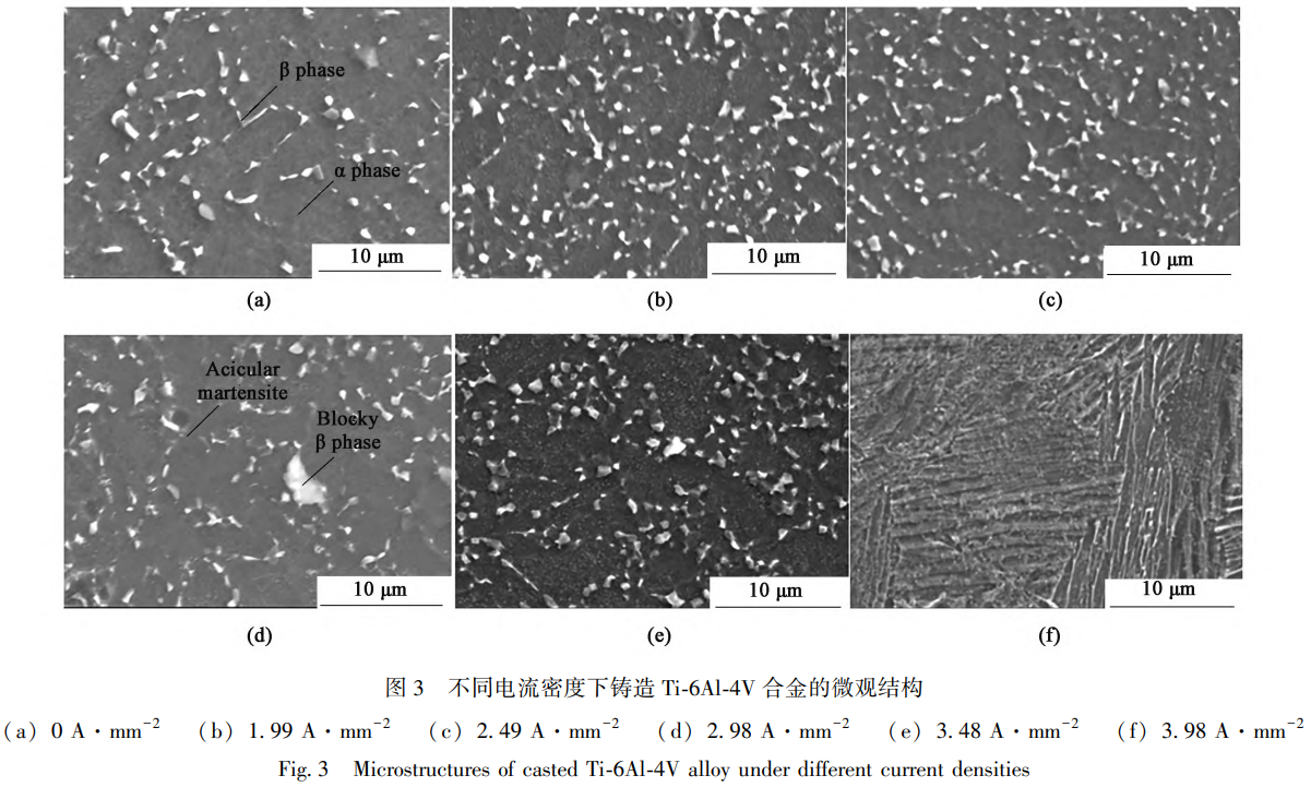 1765360584523309.png 3.png