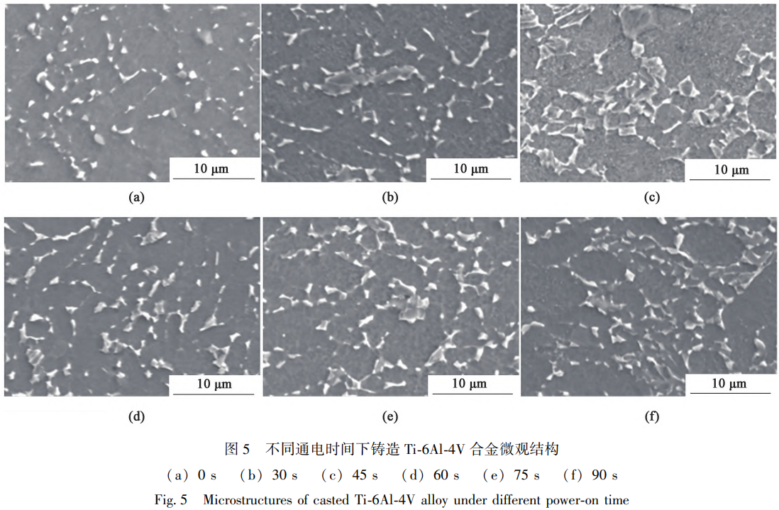 1765360608413320.png 5.png