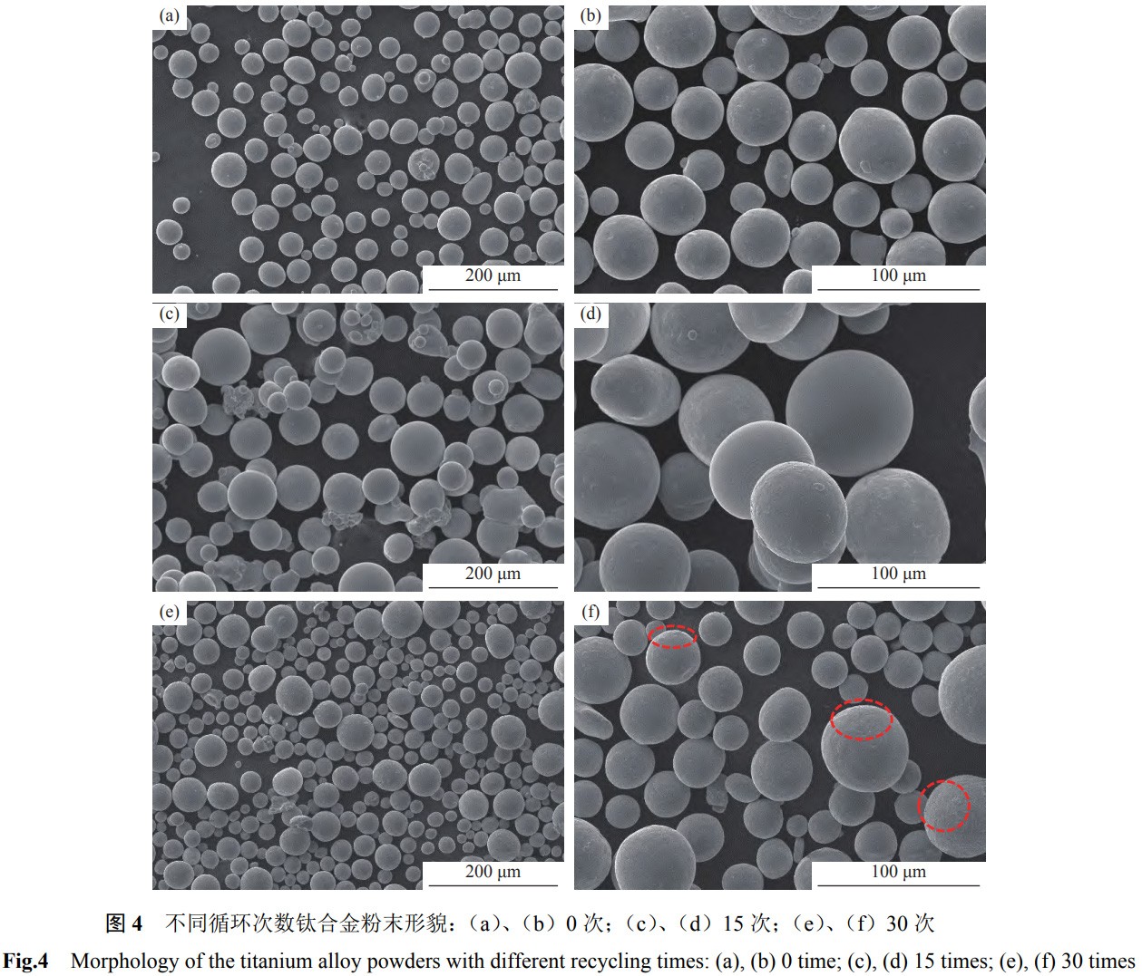 1767096284110161.jpg 4.jpg