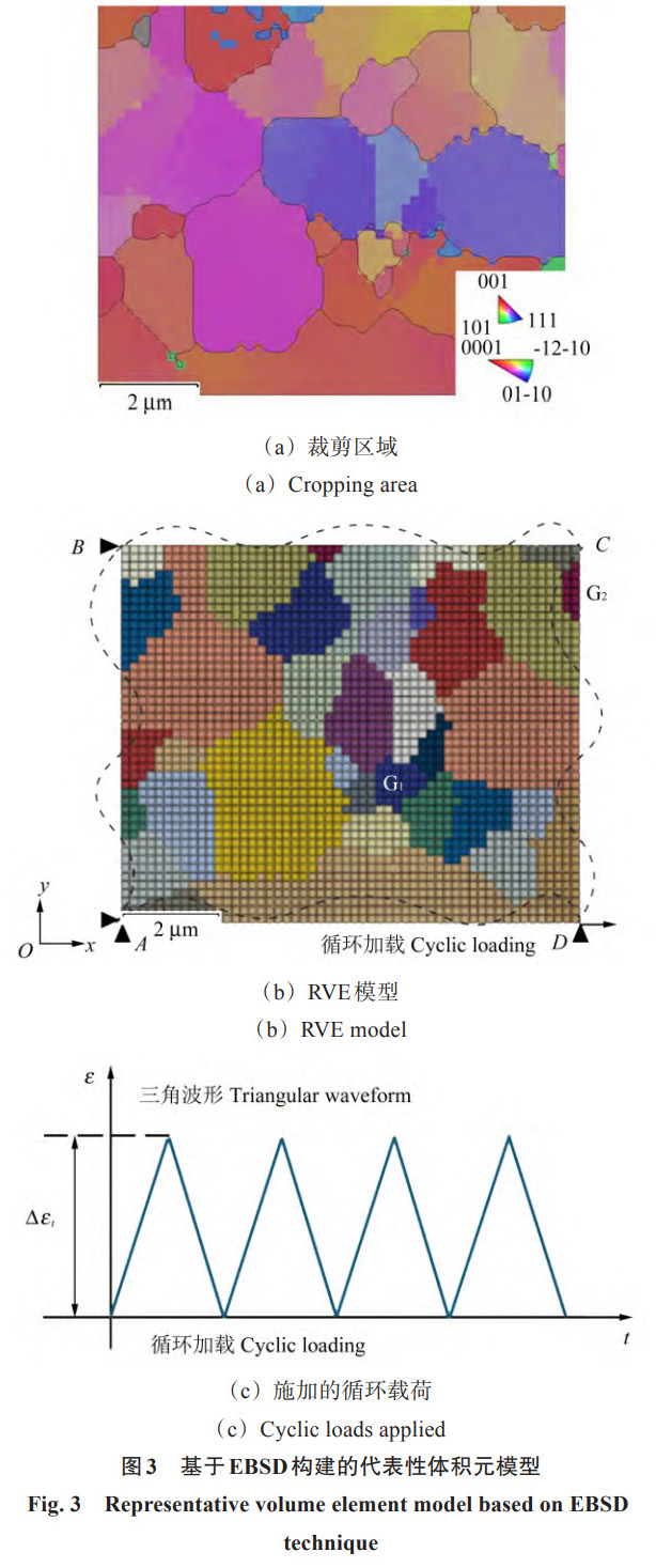 1767861572101279.jpg 3.jpg