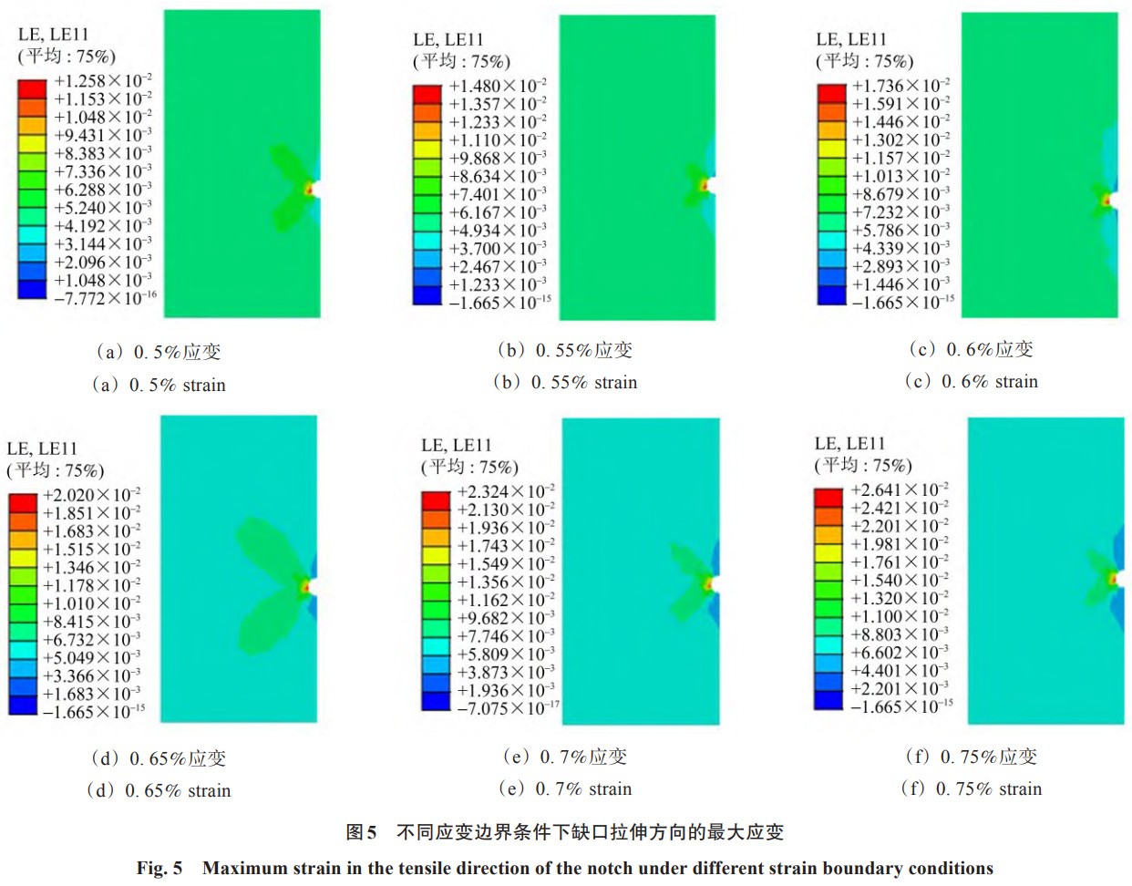 1767861593898374.jpg 5.jpg