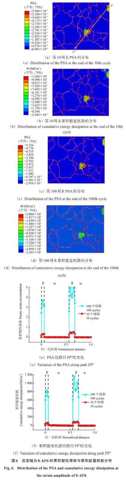 1767861604125101.jpg 6.jpg