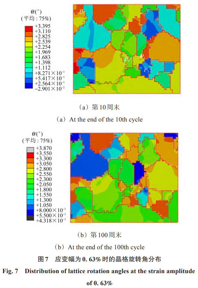 1767861614913005.jpg 7.jpg