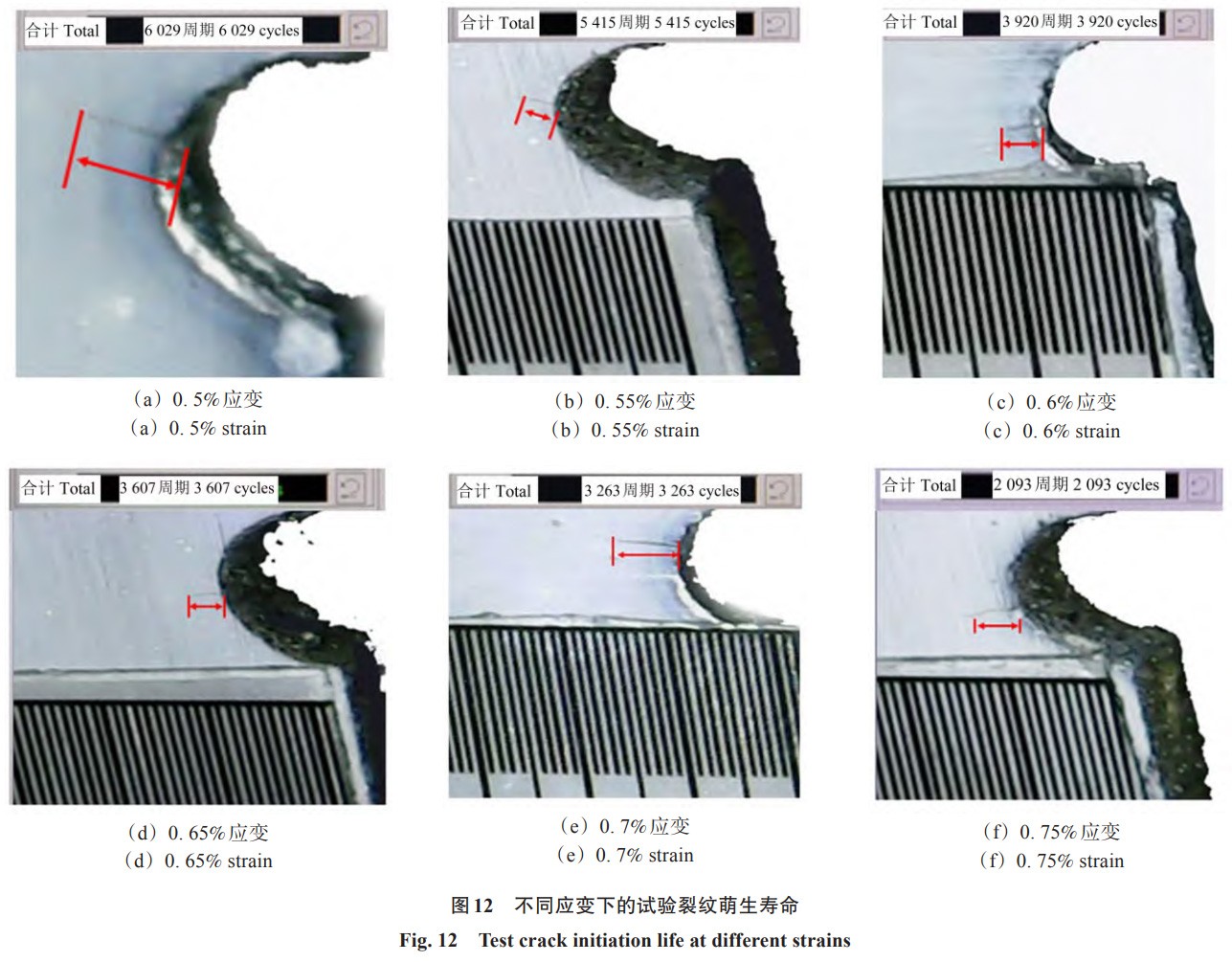 1767861665135924.jpg 12.jpg