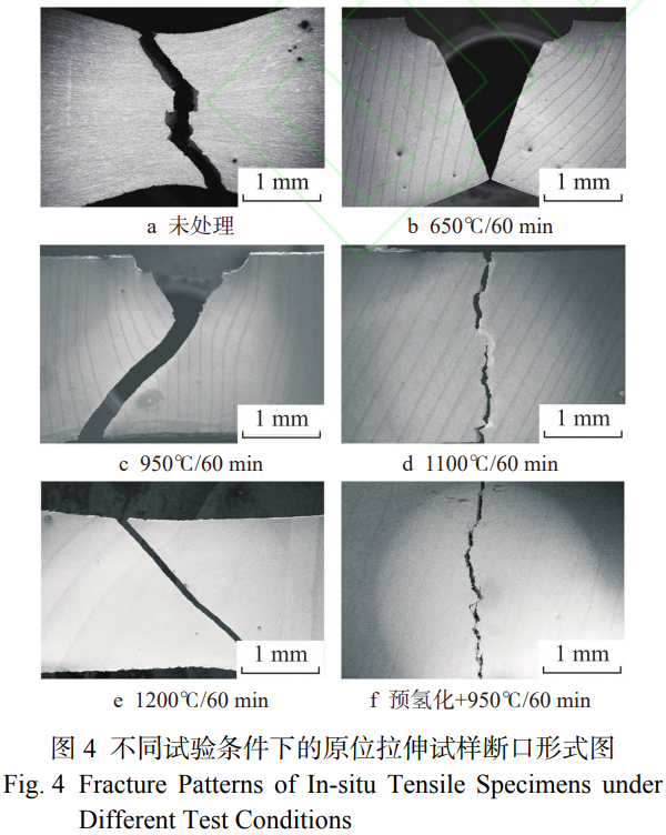 1767867039109283.png 截圖20260108180039.png